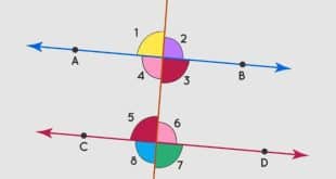 alternate interior angles