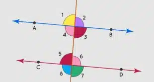 alternate interior angles