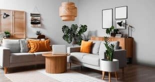 interior designer